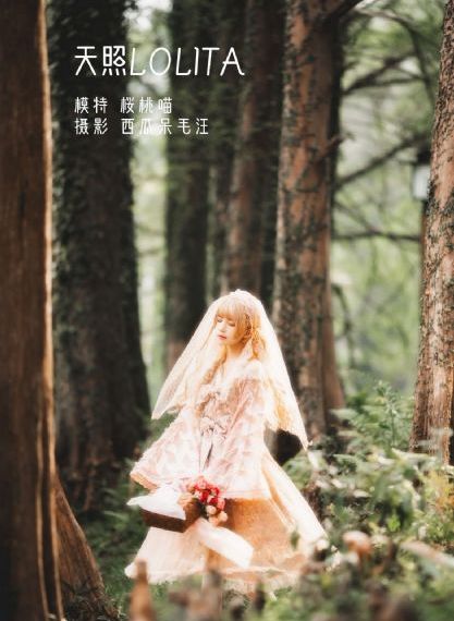 欧美婚纱设计图素描_1080HD高清在线观看